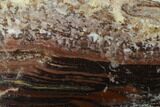 Rare North Pole Dome Stromatolite - Billion Years #164643-1